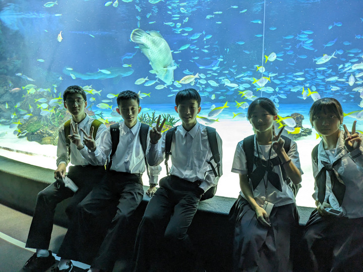 Pxl_20240606_010551817