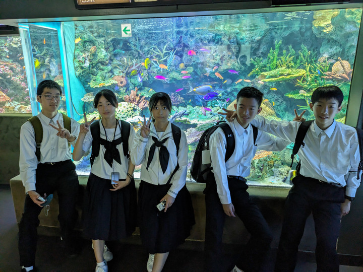 Pxl_20240606_012559686mp