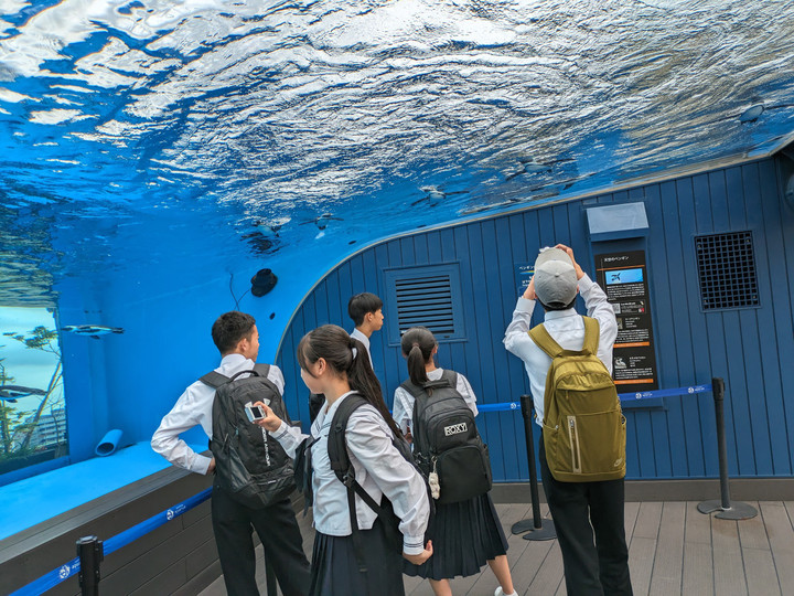 Pxl_20240606_014132442