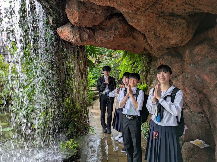 Pxl_20250424_004917019mp