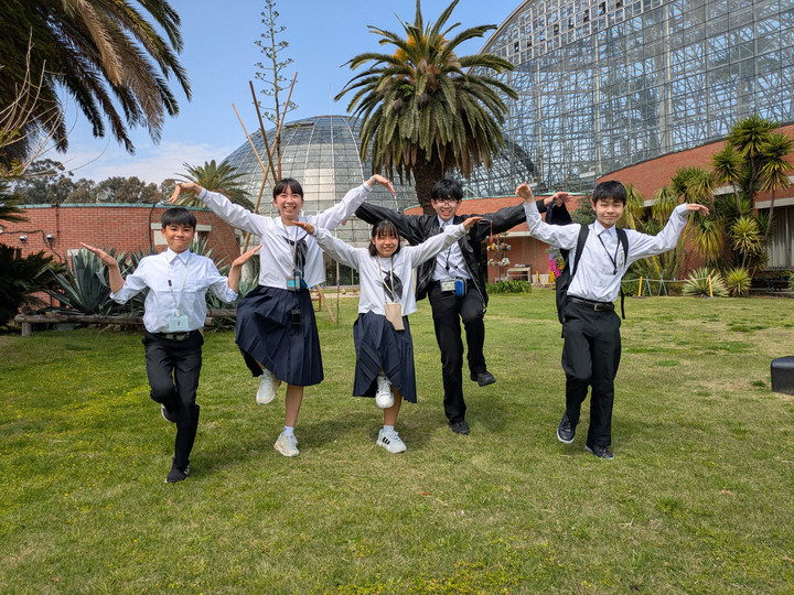 Pxl_20250424_013745865mp