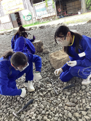 Photo_15