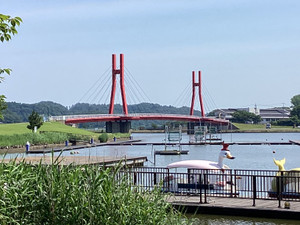 Photo_2